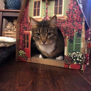 Meet your Posher, Liz